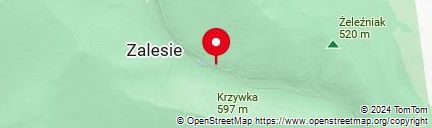 Map of co_to_za_zalesie_wielkopolskie